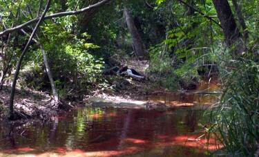Κόκκινο Ποτάμι: Η απόλυτη αποθέωση στο Twitter για το τραγικό φινάλε! (photos)