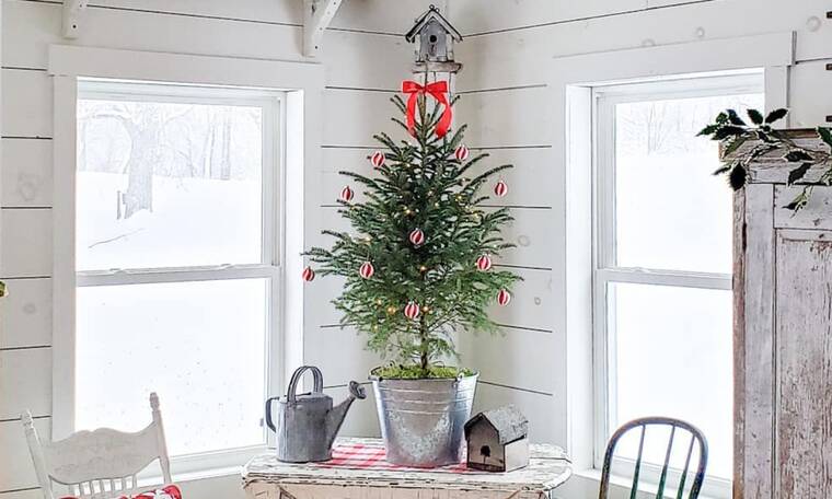 Επιτραπέζια χριστουγεννιάτικα δέντρα: Ιδέες διακόσμησης