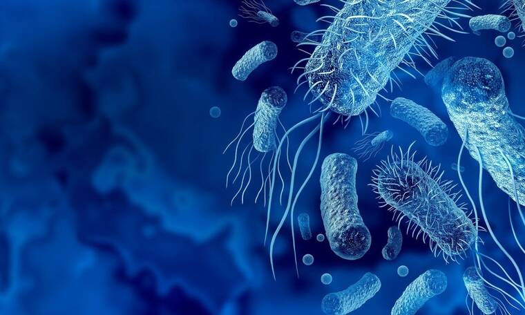 Ανακαλύφθηκε «εκπληκτικό και ακριβείας όπλο ίασης» κατά της νόσου του Crohn και του ελκώδους coli