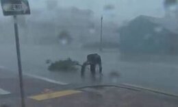 Κυκλώνας Ίαν: Η τρομακτική προσπάθεια δημοσιογράφου να σταθεί όρθιος μέσα σε «χαλασμό» - Newsbomb.gr