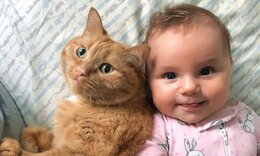 Μωρά φωτογραφίζονται με τα κατοικίδια γατάκια τους