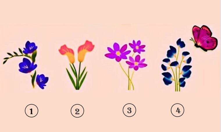 Ποιο λουλούδι πιστεύεις ότι θα διαλέξει η πεταλούδα;